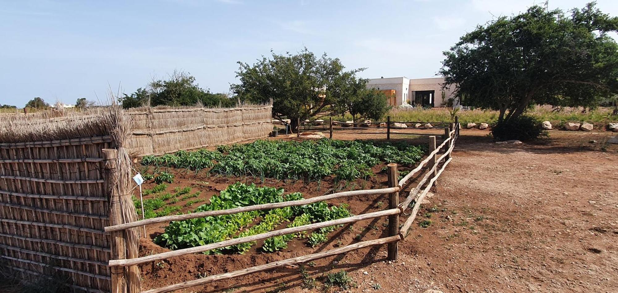 Le Clos De La Roussiere Essaouira Buitenkant foto