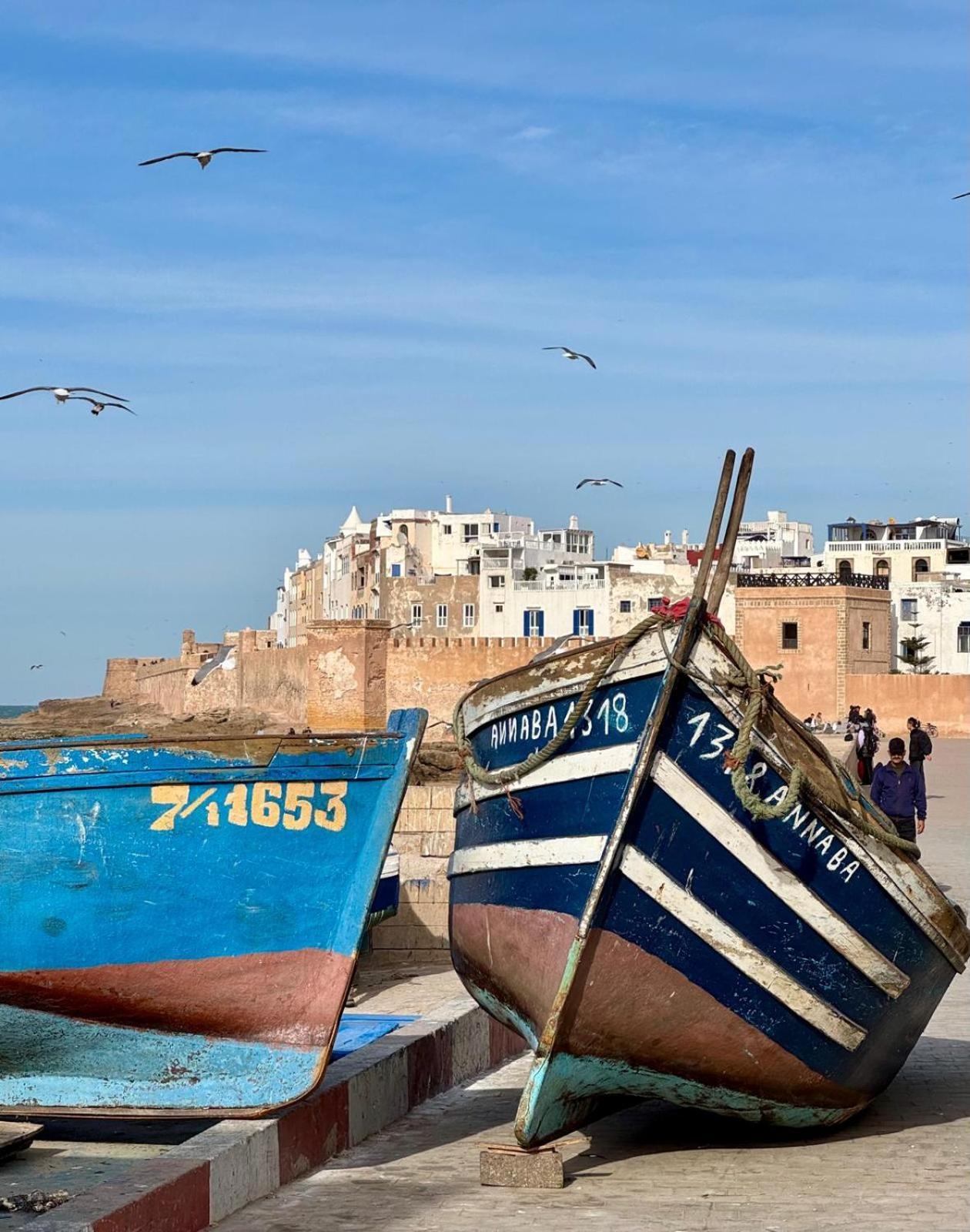 Le Clos De La Roussiere Essaouira Buitenkant foto