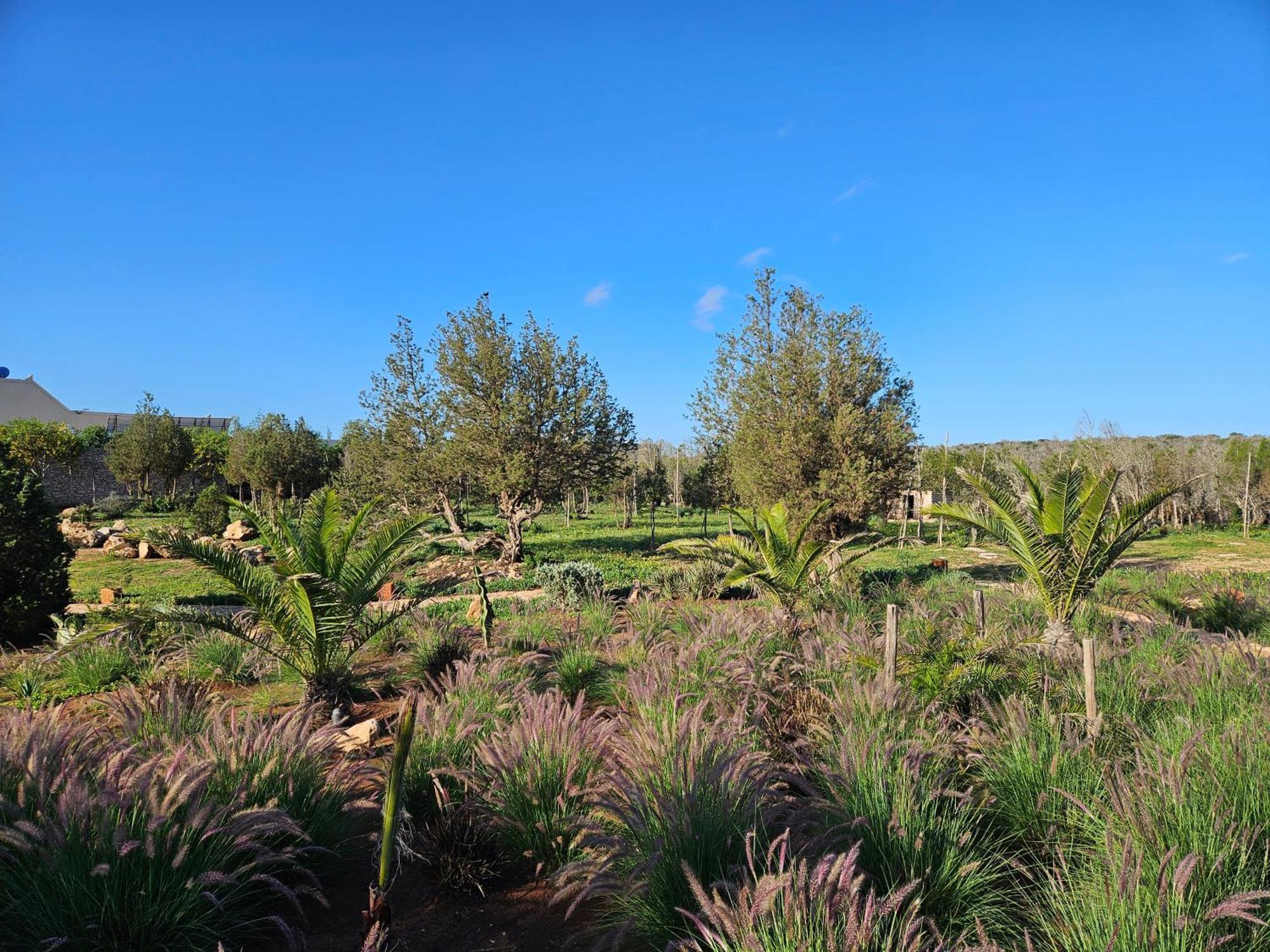 Le Clos De La Roussiere Essaouira Buitenkant foto